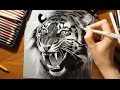 Speed Drawing: a Roaring Tiger | Jasmina Susak