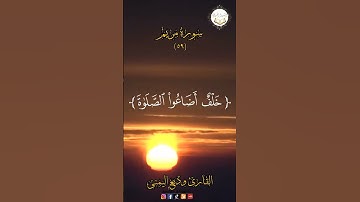 القارئ وديع اليمني  #انشروا_القران #المصحف #راحة_نفسية