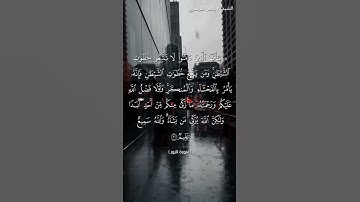 سورة النور من  آية 21 إلى آية 22 بصوت الشيخ ياسر الدوسري♥♥