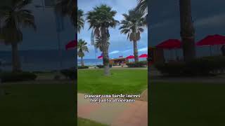 Lugares que visitar en Viña Del Mar en 1 día | Valparaíso | Chile