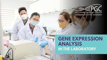 Gene Expression Analysis in the Laboratory | PGC Visayas