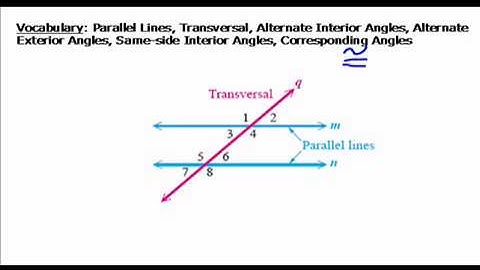 Angle Relationships & Similar Triangles in Trigonometry 1.2