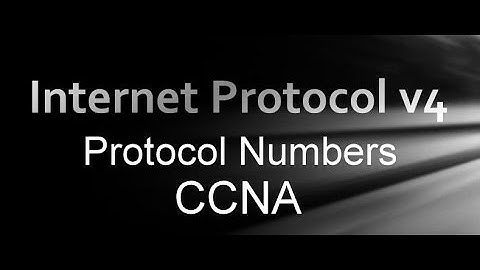 What are IPv4 Protocol Numbers !! Internet Protocol v4 Protocol Numbers