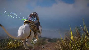 Checking New Items & Changes In Assassin