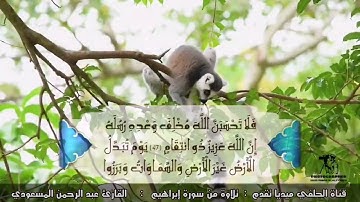 سورة إبراهيم - القارئ عبد الرحمن المسعودي || تلاوة خاشعة من القرآن الكريم