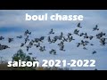 Chasse aux pigeon ramier dans le nord 59 saison 20212022
