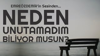 Emre Özdemir - Seni Neden Unutamadım Biliyor musun? Resimi