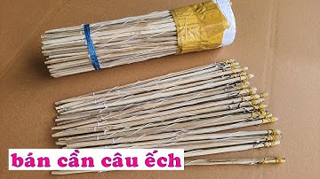 BÁN CẦN CÂU ẾCH, CẦN CÂU CẮM ẾCH dùng lưỡi ó, ship hàng toàn quốc