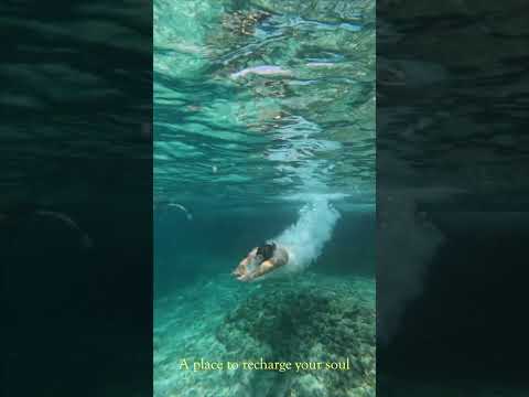 Video: Cestovní průvodce po Boracay, filipínském ostrově Party Island
