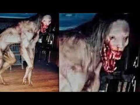       Top 5 Scary Ghost Video Caught On Camera  Tamil Cid