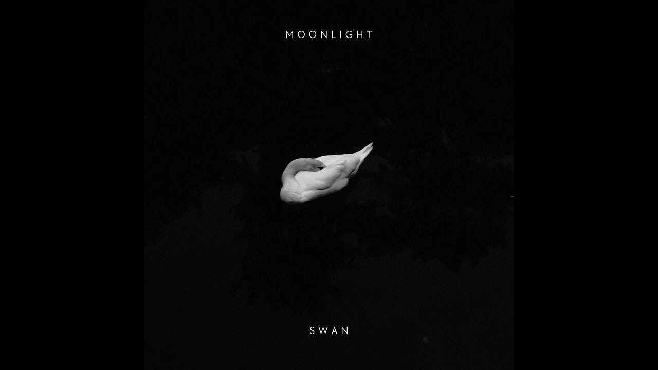 Watch Moonlight - Swan (Techno Remix) on YouTube Watch Moonlight - Swan (Techno Remix) on YouTube