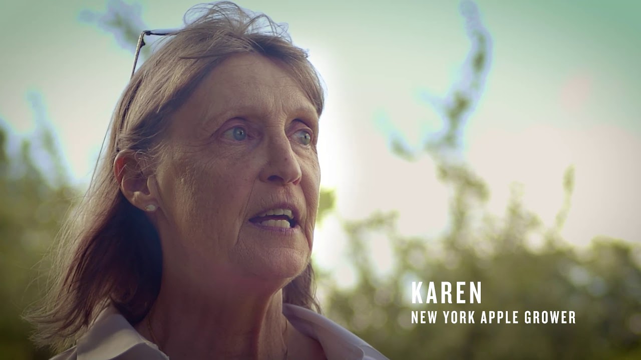 Grown with Passion. Just for you. NY Apples.