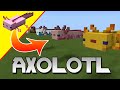 Minecraft Axolotl - Axolotl Statue - Minecraft Mob Build Tutorial