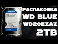 Обзор Жесткого диска Western Digital Blue 2TB 5400rpm 256MB WD20EZAZ 3.5 SATAIII из Rozetka