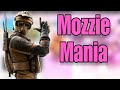 Mozzie Mania