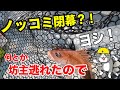 【タイラバ】ノッコミ終わっても全員坊主は避けたぜ。ヨシッ！！