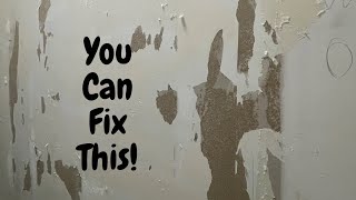 Fix Walls Ruined by Wallpaper Removal  Spencer Colgan