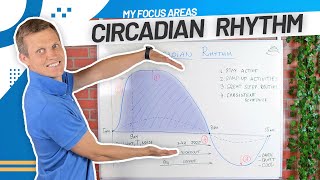 4 Focus Areas to Improve Circadian Rhythm