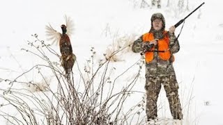охота на фазана !!! Pheasant hunting