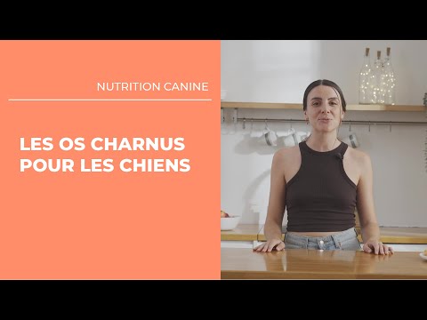 Vidéo: Conseils pour préparer des friandises pour chiens