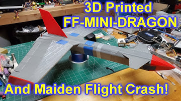 3D Printed FF-Mini-Dragon Crash!!