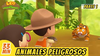 Animales Peligrosos Episodio Compilación [Parte 1/2] (Español)  Leo, El Explorador | Animación