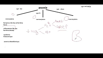 C'est quoi une anémie microcytaire ?