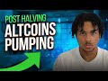 Post bitcoin halving  altcoins are pumping