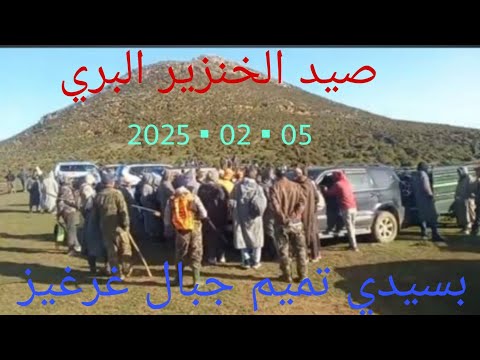 صيد الخنزير البري بسيدي تميم جبال غرغيز الإذاعة قبيلة بني حزمار إقليم تطوان شمال المغرب 05 02 2025