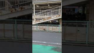 2022010601