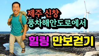 만보》제주 신창풍차해안도로에서 힐링 만보걷기