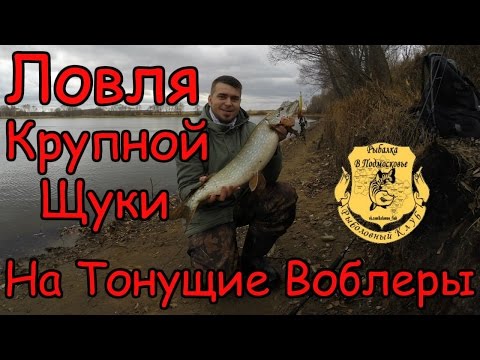 Ловля щуки на тонущие воблеры