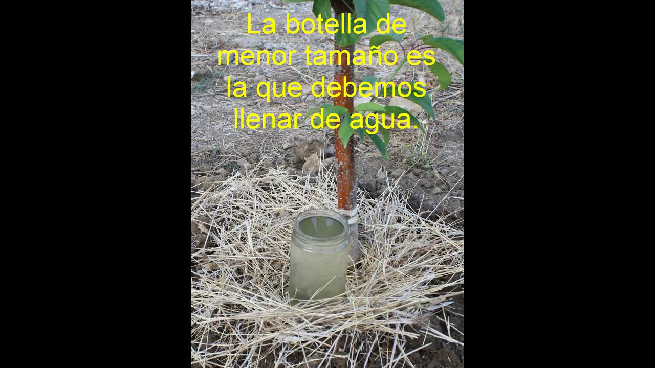 hipotesis de riego por goteo solar Riego por goteo solar con botellas