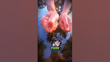 🤨Everyone Thought He was Crazy Doing This 😱 #viralvideo #facts