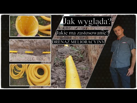 Wideo: Jak wygląda drenaż septyczny?