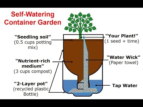 Make your own self-watering planter from a 1.5L plastic bottle 