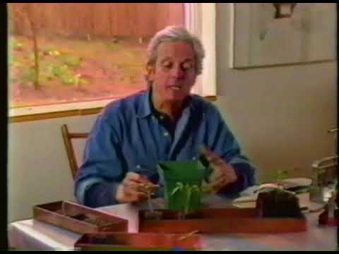 Gardening Naturally S02E10 Tomatoes