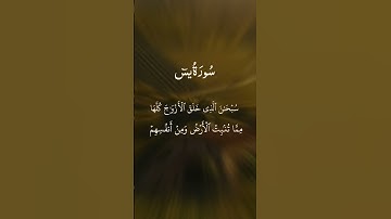 سورة يس #قران_كريم #الرحمن #اكسبلور #دويتو #duet #راحة_نفسية #حالات_واتس #تيك_توك