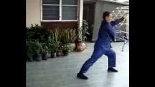 Eagle Claw Sequences 6 to 10