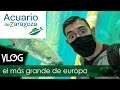 ACUARIO DE ZARAGOZA | El acuario fluvial MÁS GRANDE de Europa