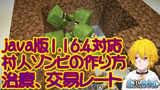 マインクラフトjava版 1 16 4対応村人ゾンビの作り方 治療 お得な交易 Youtube