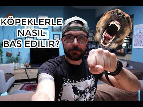 Video: Köpeğinizin Korkuyla Yaşadığı 6 İşareti