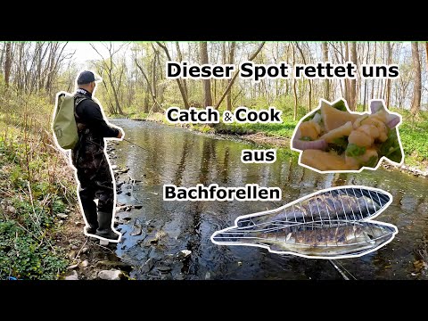 Ceviche aus Forellen