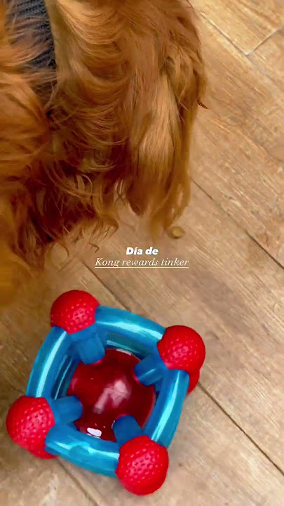 KONG Rewards Tinker Treat Dispenser Dog Toy