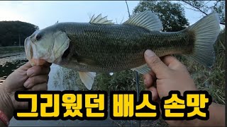 그리웠던 배스손맛 (도요 코바3 레인보우 간단후기)