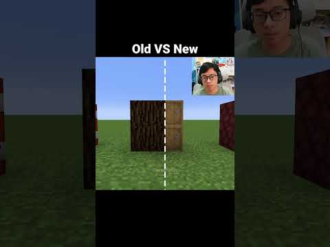 Minecraft Old VS New Blocks Moment