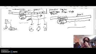 Famous Mrs. Murdocks Review for Unit 6 Test Profile