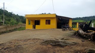 Vende se esse Mini sítio no Engenho Pau sangue zona rural Palmares PE  150.000 (081)99888595