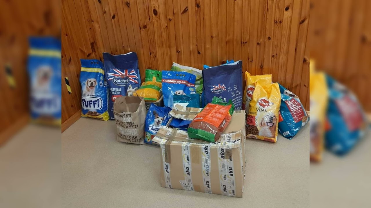 SP Netta  - zbiórka karmy