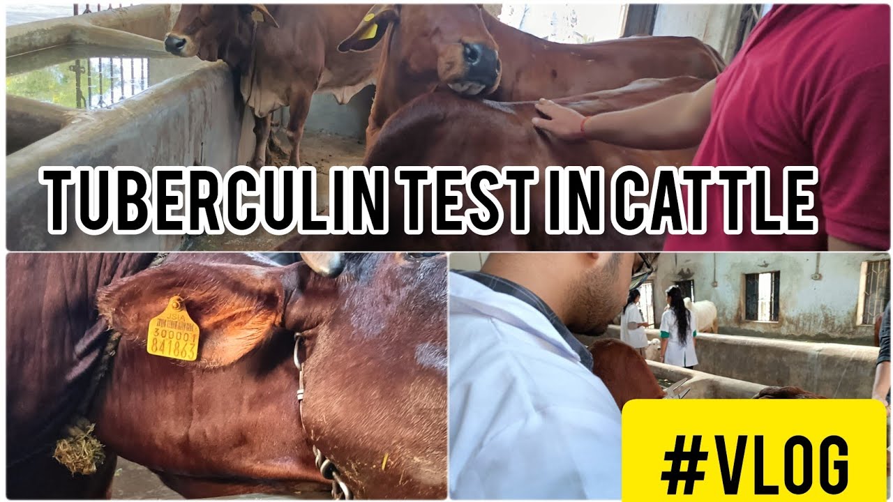 crossed 400 subscribers 😀🥳✴️ 